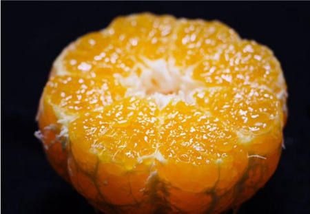 魏柑可能是這個季節最好吃的水果，90%的人都不知道