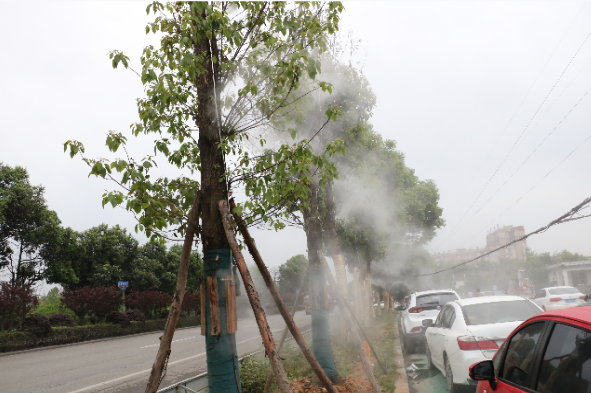 22 (1).png 22 (1).png